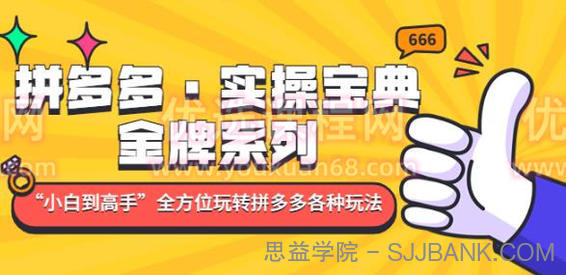 拼多多·实操宝典：金牌系列“小白到高手”带你全方位玩转拼多多各种玩法