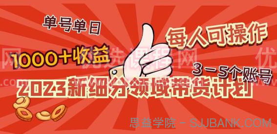 2023新细分领域带货计划：单号单日1000+收益不难，每人可操作3-5个账号