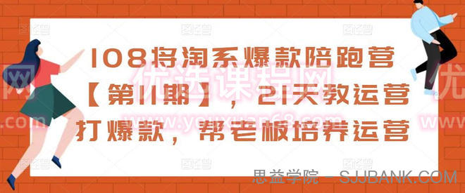 108将淘系爆款陪跑营【第11期】，21天教运营打爆款，帮老板培养运营