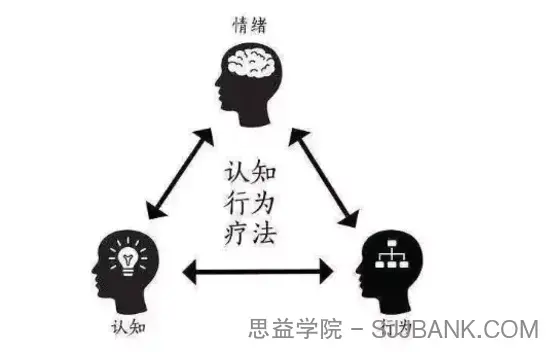 焦虑障碍的认知行为策略疗法 美国焦虑症协会前主席亲授【视频27讲】