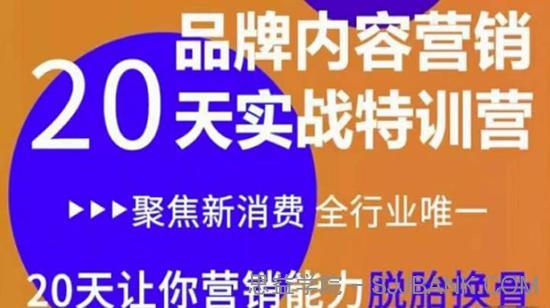 《内容营销实操特训营》20天让你营销能力脱胎换骨（价值3999）