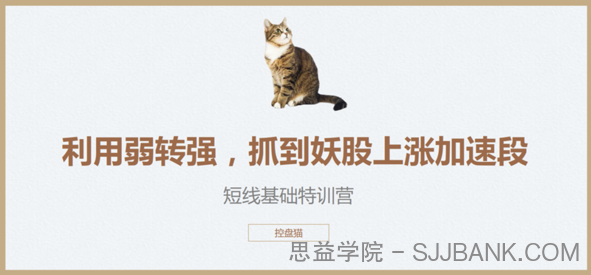 控盘猫短线基础特训营，控盘猫翻倍计划