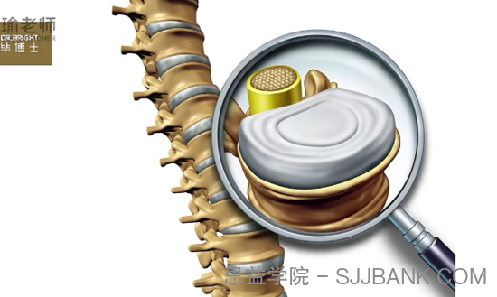 毕义明 12节椎间盘突出康复课