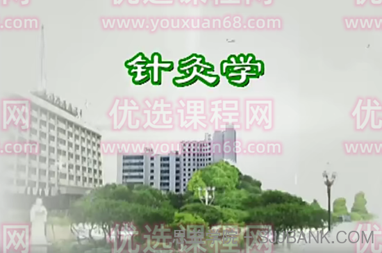 石学敏-针灸学 天津中医药大学 123讲