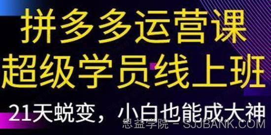 纪主任《拼多多运营课：超级学员21天蜕变线上班》