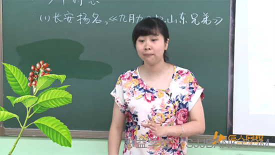 小学大语文课程（1-15阶全集）