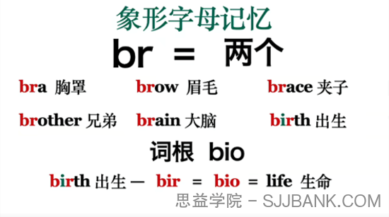 英语单词记忆课 6000词频内拆解词根